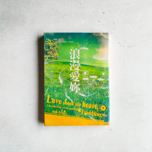 浪漫愛妳 浪漫愛妳
