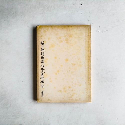 我見我思我寫