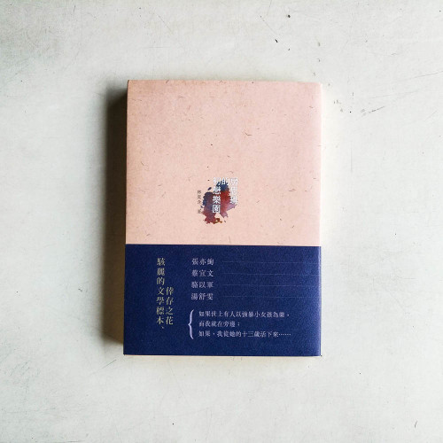 房思琪的初戀樂園 房思琪的初戀樂園