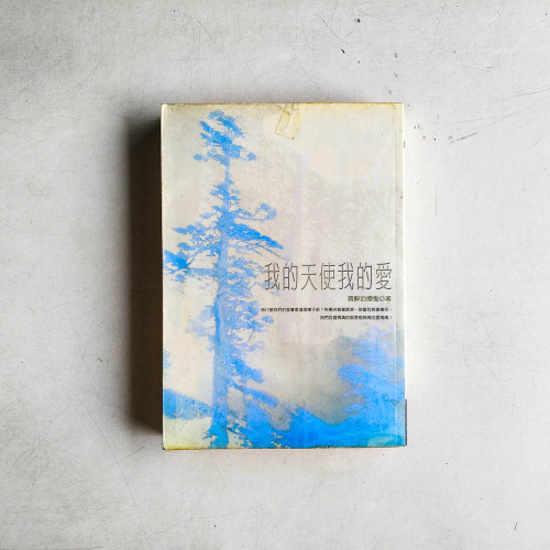 我的天使我的愛 我的天使我的愛