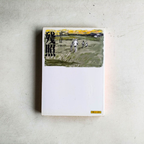 殘照(劉大任作品集2) 殘照(劉大任作品集2)