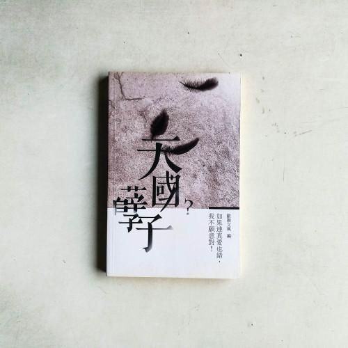 天國孽子? 天國孽子?