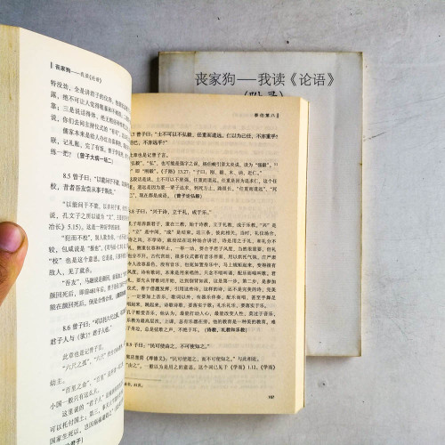 喪家狗: 我讀《論語 》(含附录) 喪家狗: 我讀《論語 》(含附录)