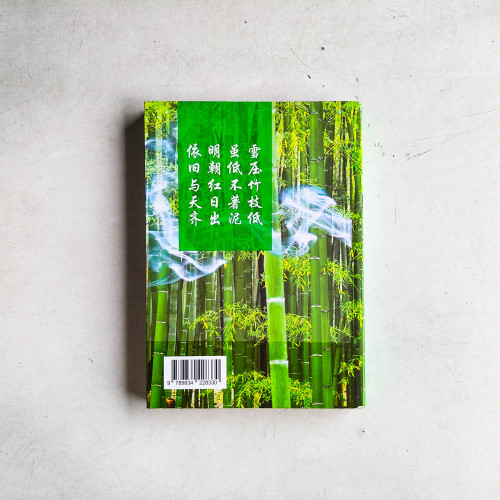 煙雨華圖（四）：馬來西亞華團人事物