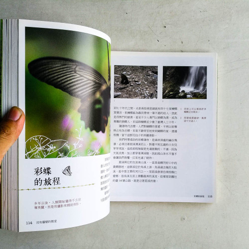沒有牆壁的教室:悠遊在大自然裏的小日子 沒有牆壁的教室:悠遊在大自然裏的小日子