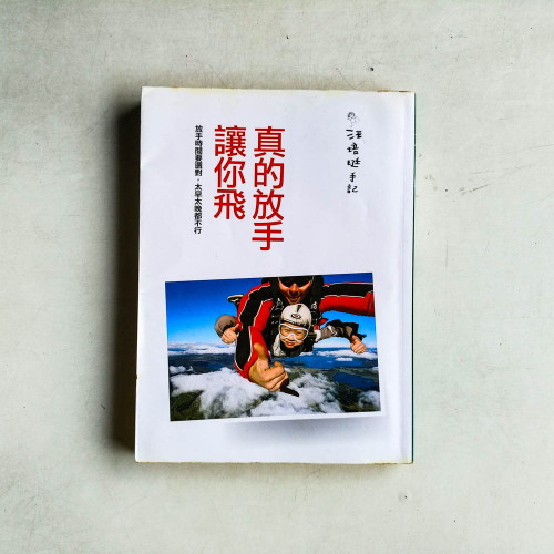 真的放手讓你飛 真的放手讓你飛