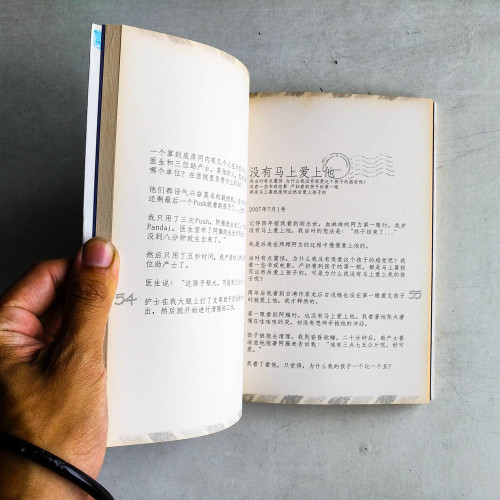 左雍右為:echo的雙子情書 左雍右為:echo的雙子情書