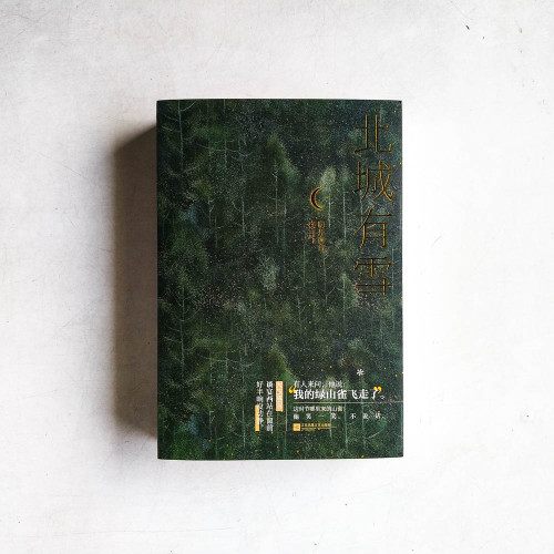北城有雪(全二冊) 北城有雪(全二冊)