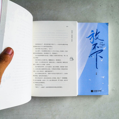 放不下（全二冊）