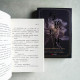 與狼共舞（全二冊）+與狼共枕 （全二冊）