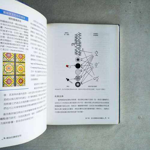精油的療癒智慧:芳療科學深度之旅 精油的療癒智慧:芳療科學深度之旅