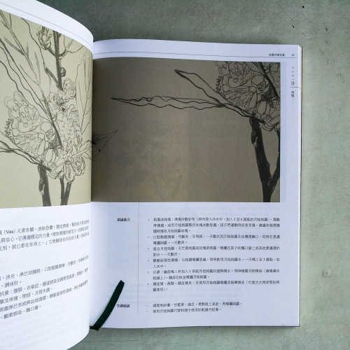 純露芳療全書:涵養植物靈魂的能量之水,療癒身心的生命之泉 純露芳療全書:涵養植物靈魂的能量之水,療癒身心的生命之泉