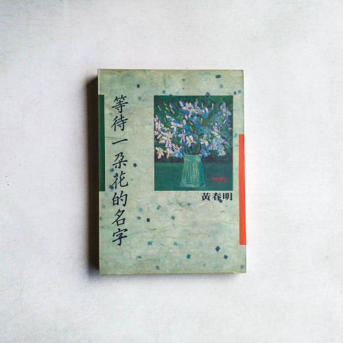 等待一朵花的名字