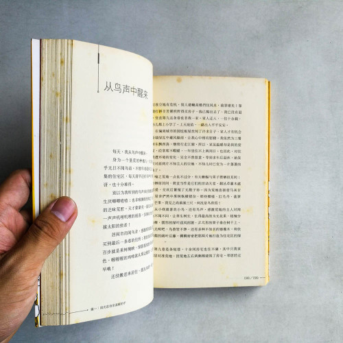 陽光是母親溫暖的手