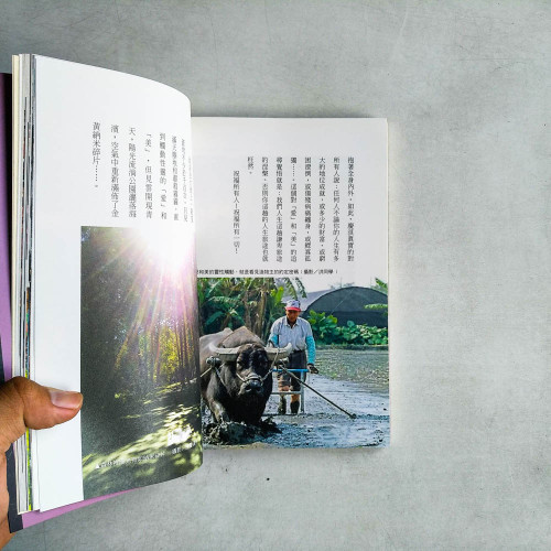 靈性開悟進程奧義手札 靈性開悟進程奧義手札