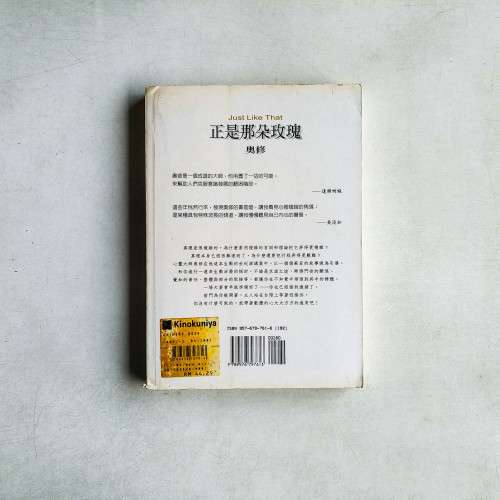 正是那朵玫瑰