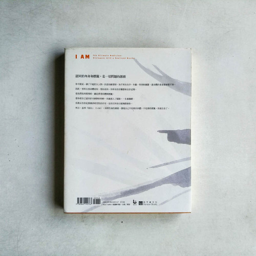 我在 I AM：最簡潔有效的開悟指引