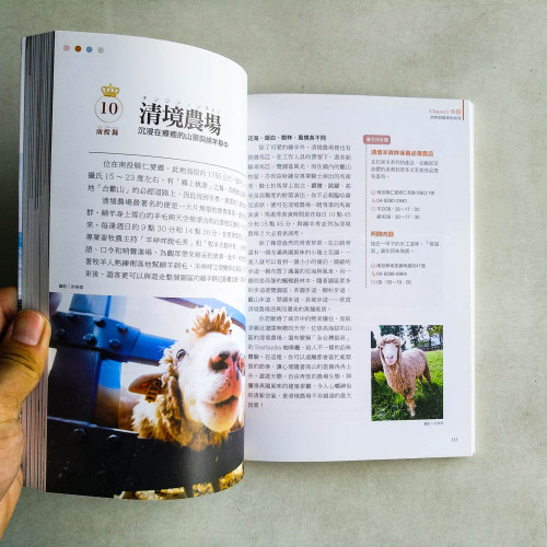 樂遊台灣