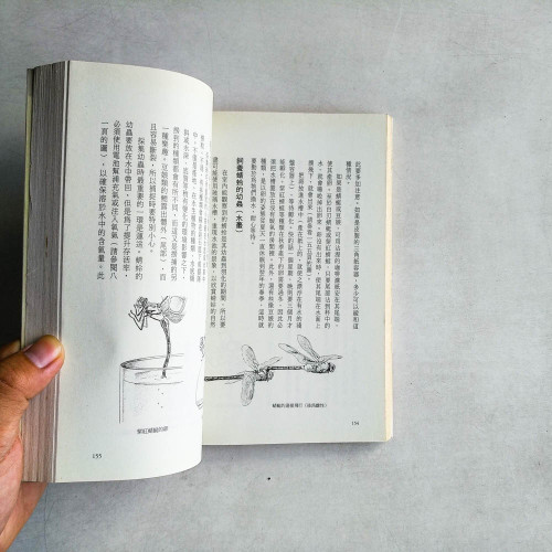 可以在桌上養的小生物 可以在桌上養的小生物