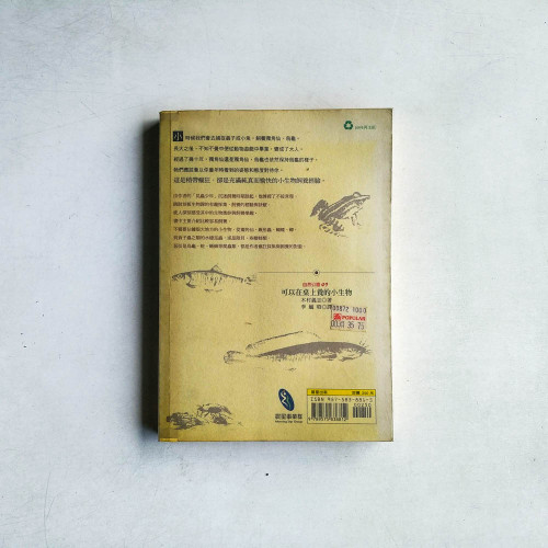 可以在桌上養的小生物 可以在桌上養的小生物