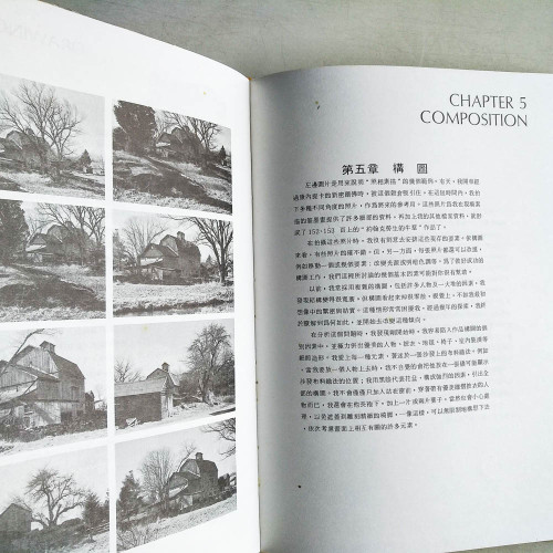保羅加利專集: 鉛筆素描技巧