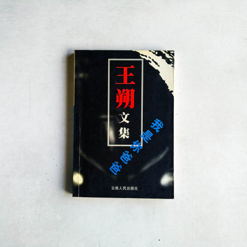 王朔文集：我是你爸爸