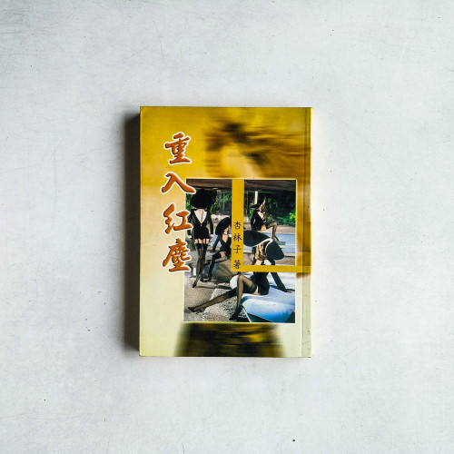 重入紅塵