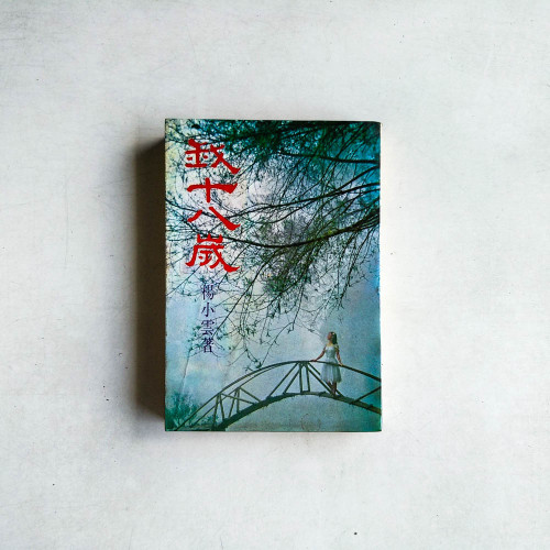 我十八歲