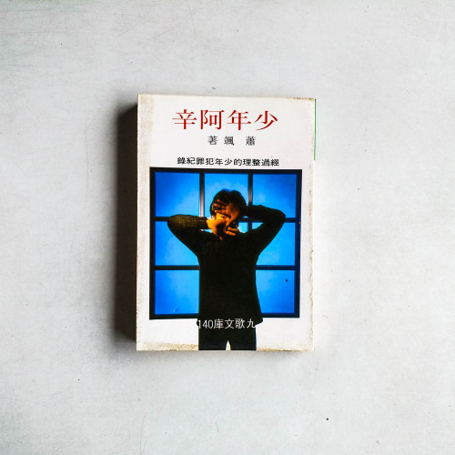 少年阿辛：經過整理的少年罪犯紀錄