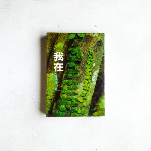 我在