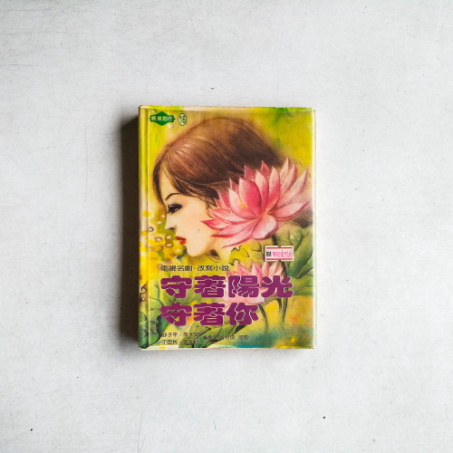 守著陽光守著你