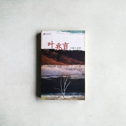 葉兆言中篇小說選