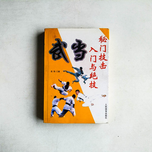 武當秘門技擊：入門與絕技