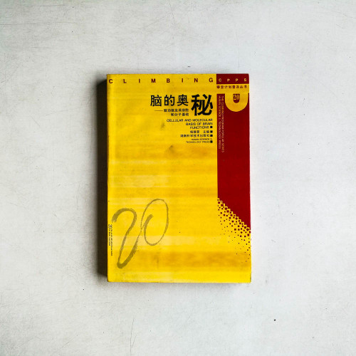 腦的奧秘：腦功能及其細胞與分子基礎