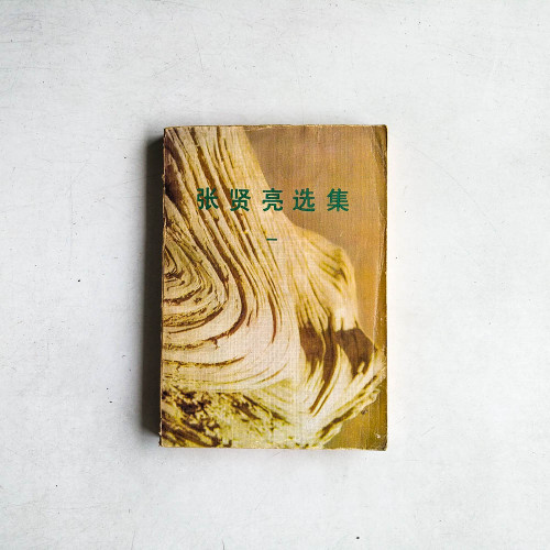 張賢亮選集（一）