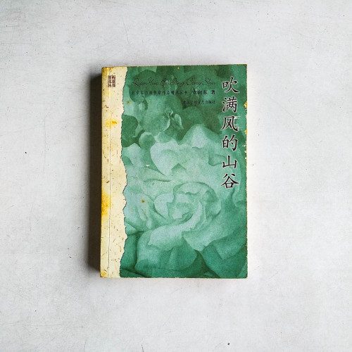 吹滿風的山谷