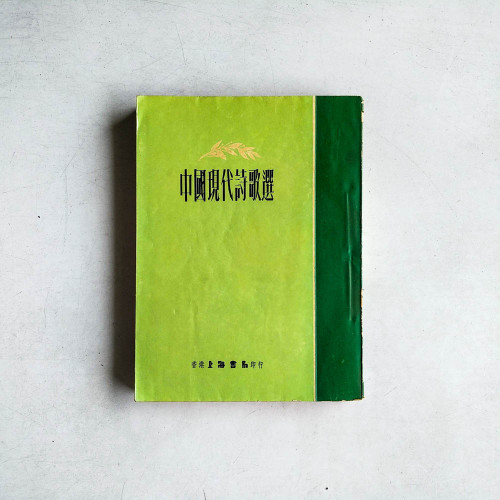 中國現代詩歌選