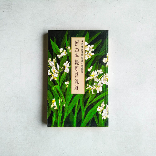 因爲年輕所以流浪