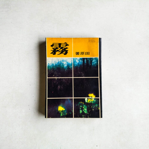 霧