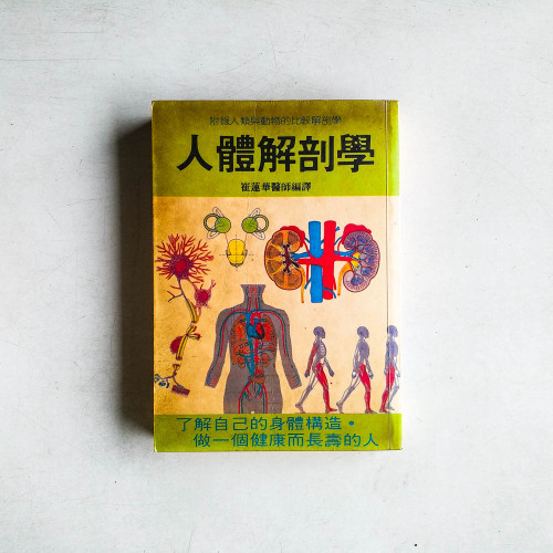 人體解剖學