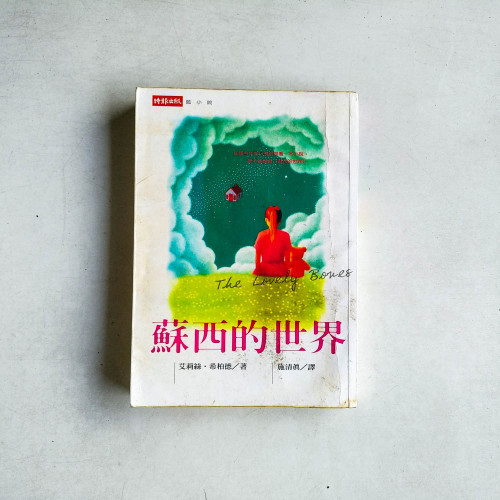 蘇西的世界