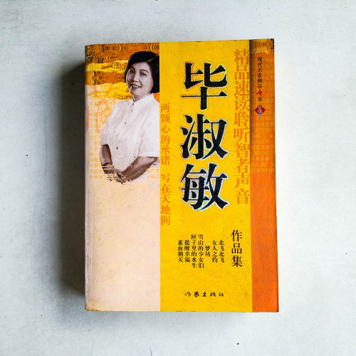 畢淑敏作品集