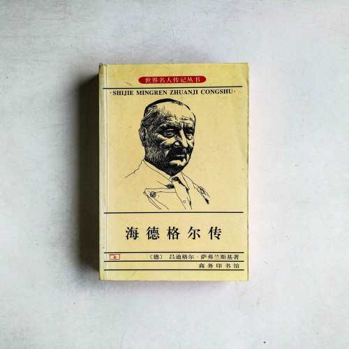 海德格爾傳
