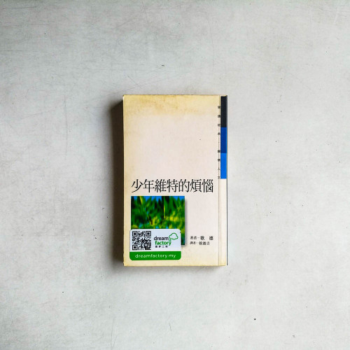 少年維特的煩惱
