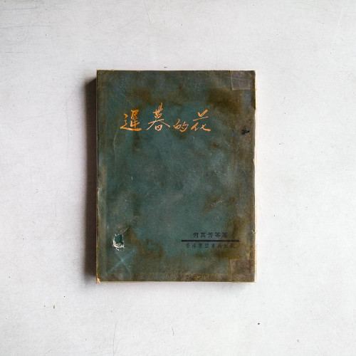 遲暮的花