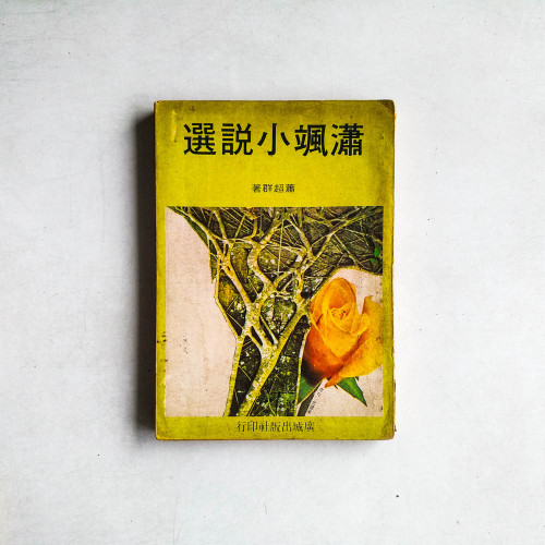 瀟颯小說選