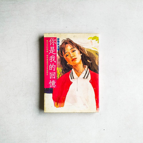 你是我的回憶