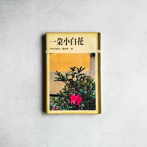 一朵小白花