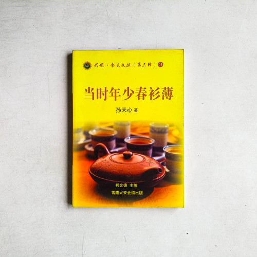 當時年少春衫薄