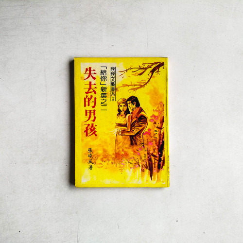 失去的男孩